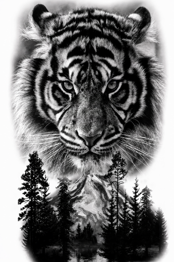 Tiger Temporal Tattoo
